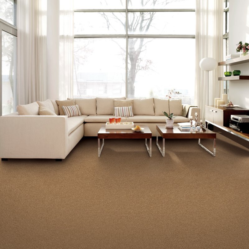 Beautiful textured carpet in Milford, CT - Carpet and Tile By the Mile